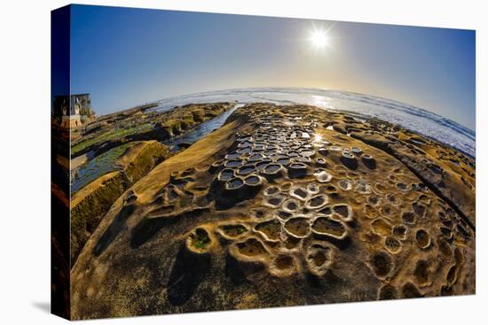 Interesting Tide Pools in La Jolla, Ca-Andrew Shoemaker-Stretched Canvas