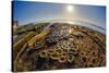 Interesting Tide Pools in La Jolla, Ca-Andrew Shoemaker-Stretched Canvas