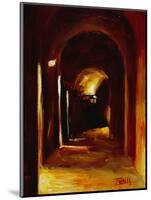Interior Arches in Perugia-Pam Ingalls-Mounted Giclee Print