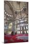 Interior, Fatih Mosque, Istanbul, Turkey, Europe-Neil Farrin-Mounted Photographic Print