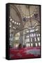 Interior, Fatih Mosque, Istanbul, Turkey, Europe-Neil Farrin-Framed Stretched Canvas