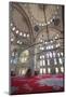 Interior, Fatih Mosque, Istanbul, Turkey, Europe-Neil Farrin-Mounted Photographic Print