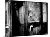 Interior Hallway and Graffiti: "Picasso Was Here," Bateau Lavoir, Montmartre-Gjon Mili-Mounted Photographic Print