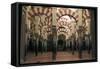 Interior, Mosque-Cathedral of Cordoba-null-Framed Stretched Canvas