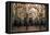 Interior, Mosque-Cathedral of Cordoba-null-Framed Stretched Canvas