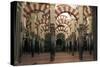 Interior, Mosque-Cathedral of Cordoba-null-Stretched Canvas