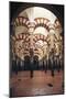 Interior, Mosque-Cathedral of Cordoba-null-Mounted Giclee Print