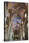 Interior Nave, Church of Santa Maria Sopra Minerva, Rome, Lazio, Italy, Europe-Peter-Stretched Canvas