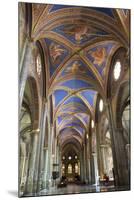 Interior Nave, Church of Santa Maria Sopra Minerva, Rome, Lazio, Italy, Europe-Peter-Mounted Photographic Print