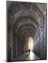 Interior North Nave Aisle with Priest Walking Away, Vezelay Abbey, UNESCO World Heritage Site, Veze-Nick Servian-Mounted Photographic Print