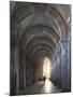 Interior North Nave Aisle with Priest Walking Away, Vezelay Abbey, UNESCO World Heritage Site, Veze-Nick Servian-Mounted Photographic Print