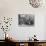 Interior of a Breton Pancake Restaurant, Finistere, c.1900-French Photographer-Photographic Print displayed on a wall