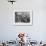 Interior of a Breton Pancake Restaurant, Finistere, c.1900-French Photographer-Framed Photographic Print displayed on a wall