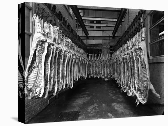 Interior of a Butchery Factory, Rawmarsh, South Yorkshire, 1955-Michael Walters-Stretched Canvas