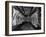 Interior of a Butchery Factory, Rawmarsh, South Yorkshire, 1955-Michael Walters-Framed Photographic Print