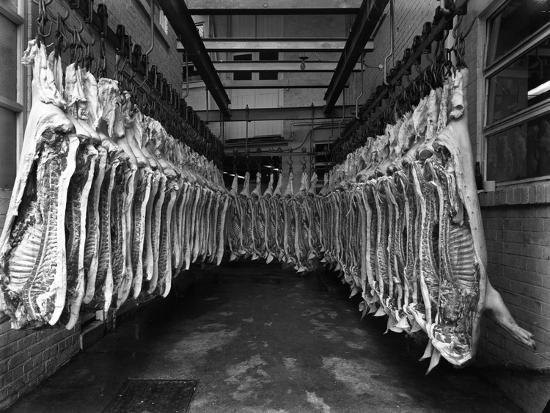 'Interior of a Butchery Factory, Rawmarsh, South Yorkshire, 1955 ...