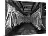 Interior of a Butchery Factory, Rawmarsh, South Yorkshire, 1955-Michael Walters-Mounted Photographic Print