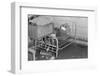 Interior of a farmhouse near Ridgeley, Tennessee, after the flood waters had subsided, 1937-Walker Evans-Framed Photographic Print