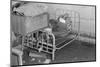 Interior of a farmhouse near Ridgeley, Tennessee, after the flood waters had subsided, 1937-Walker Evans-Mounted Photographic Print