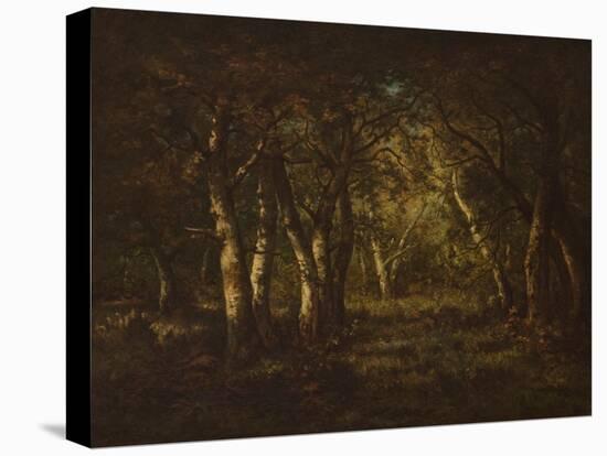 Interior of a Forest, 1862 (Oil on Canvas)-Narcisse Virgile Diaz de la Pena-Stretched Canvas