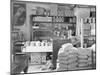 Interior of a general store in Moundville, Alabama, 1936-Walker Evans-Mounted Photographic Print