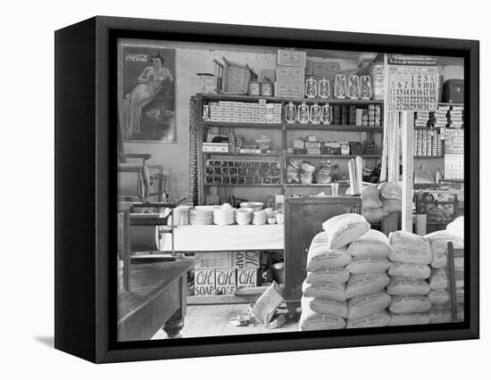 Interior of a general store in Moundville, Alabama, 1936-Walker Evans-Framed Stretched Canvas