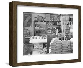 Interior of a general store in Moundville, Alabama, 1936-Walker Evans-Framed Photographic Print