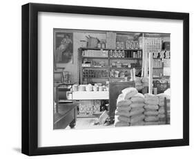 Interior of a general store in Moundville, Alabama, 1936-Walker Evans-Framed Photographic Print