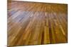 Interior of a Home with Refinished Hardwood Floors.-jannoon028-Mounted Photographic Print