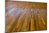 Interior of a Home with Refinished Hardwood Floors.-jannoon028-Mounted Photographic Print