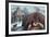 Interior of a Laplander Hut with a Family around the Fire-Stefano Bianchetti-Framed Photographic Print