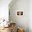 Interior Of A Plantation House, Puerto Rico-George Oze-Framed Photographic Print displayed on a wall