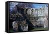 Interior of a Roman and Medieval Multangular Tower in York, 3rd Century-CM Dixon-Framed Stretched Canvas