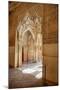 Interior of Alhambra Palace in Granada, Spain-Julianne Eggers-Mounted Photographic Print