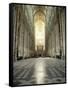 Interior of Amiens Cathedral, Amiens, Unesco World Heritage Site, Nord, France-Richard Ashworth-Framed Stretched Canvas