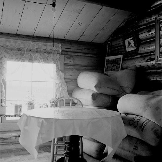 Photo, , large