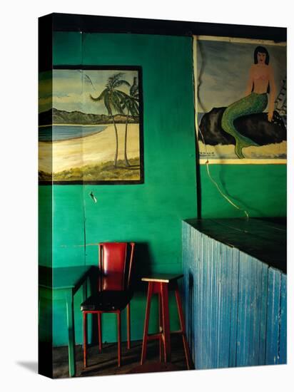 Interior of Bar with Mermaid Mural, Tela, Honduras-Jeffrey Becom-Stretched Canvas