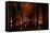 Interior of Basilica Cistern, Sultanahmet, Istanbul, Turkey-Ben Pipe-Framed Stretched Canvas