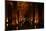 Interior of Basilica Cistern, Sultanahmet, Istanbul, Turkey-Ben Pipe-Mounted Photographic Print