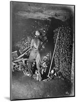 Interior of Catacombs, Paris, 1861-Paul Nadar-Mounted Giclee Print