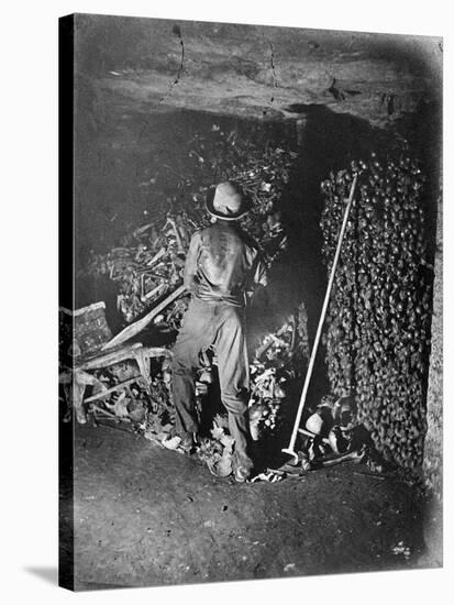 Interior of Catacombs, Paris, 1861-Paul Nadar-Stretched Canvas