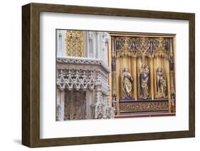 Interior of Cathedral of St. Elizabeth, Kosice, Kosice Region, Slovakia, Europe-Ian Trower-Framed Photographic Print