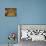 Interior of Ceiling, St. Pauls Shipwreck Church, Valletta, Malta-null-Photographic Print displayed on a wall