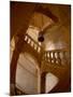 Interior of Chateau de Cormatin, Burgundy, France-Lisa S. Engelbrecht-Mounted Photographic Print