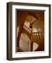 Interior of Chateau de Cormatin, Burgundy, France-Lisa S. Engelbrecht-Framed Photographic Print