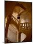 Interior of Chateau de Cormatin, Burgundy, France-Lisa S. Engelbrecht-Mounted Photographic Print