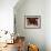 Interior of Chinese Temple in Sibu, a Port on the Rajang River in Sarawak, Malaysia, Southeast Asia-Robert Francis-Framed Photographic Print displayed on a wall