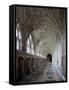 Interior of Cloisters with Fan Vaulting, Gloucester Cathedral, Gloucestershire, England, UK-Nick Servian-Framed Stretched Canvas