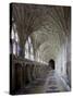 Interior of Cloisters with Fan Vaulting, Gloucester Cathedral, Gloucestershire, England, UK-Nick Servian-Stretched Canvas