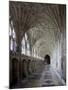 Interior of Cloisters with Fan Vaulting, Gloucester Cathedral, Gloucestershire, England, UK-Nick Servian-Mounted Photographic Print